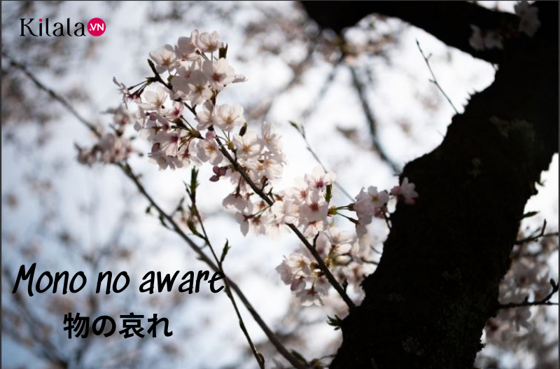 mono no aware mono no aware